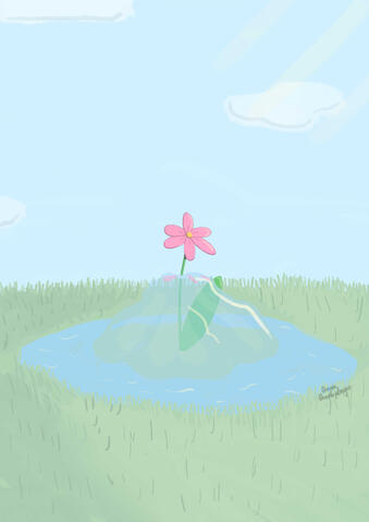 A pink flower partialy frozen. The ice is slowly being melted by the sun