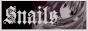 Link to other website Link to other website